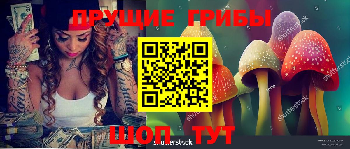 Псилоцибиновые грибы MAGIC MUSHROOMS Тихвин