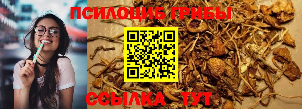 Тихвин  Галлюциногенные грибы MAGIC MUSHROOMS  Псилоцибиновые грибы ЛСД  Вход с VPN 