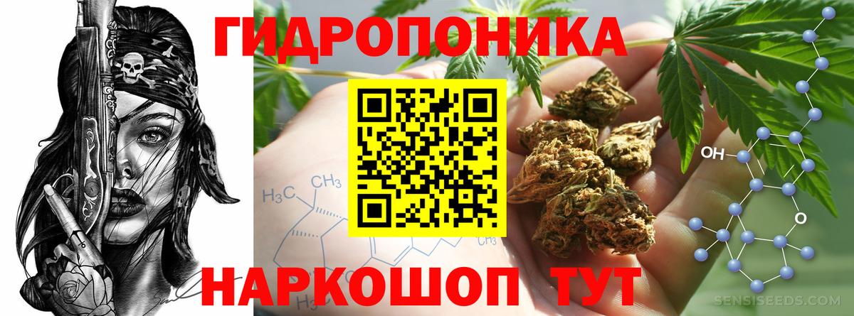 Бошки марихуана сатива Тихвин